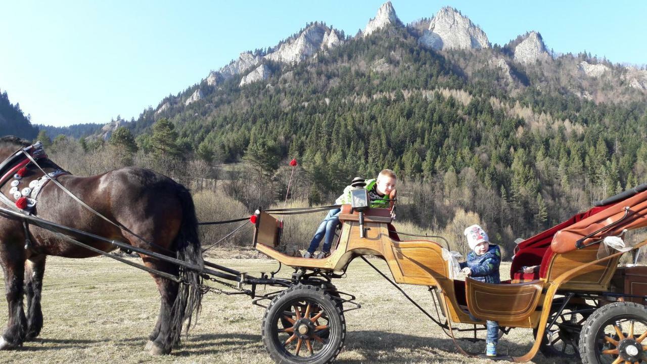 Pokoje U Pitera Sromowce Wyzne Zewnętrze zdjęcie