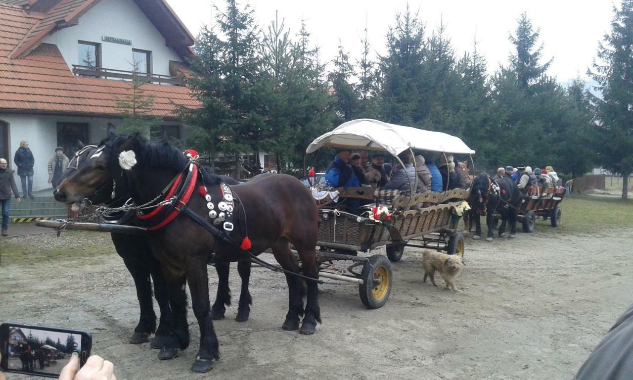 Willa Pokoje U Pitera Sromowce Wyzne Zewnętrze zdjęcie