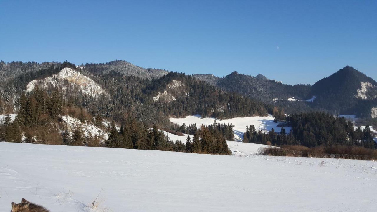Pokoje U Pitera Sromowce Wyzne Zewnętrze zdjęcie